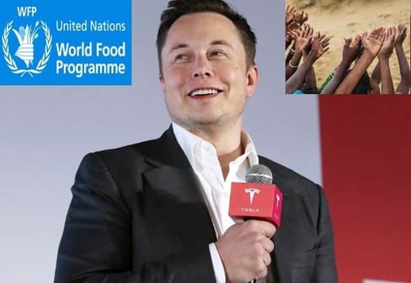 Elon Musk, Dares, UN, Solve, World Hunger, எலான் மஸ்க், சொத்து, பட்டினி, ஐநா