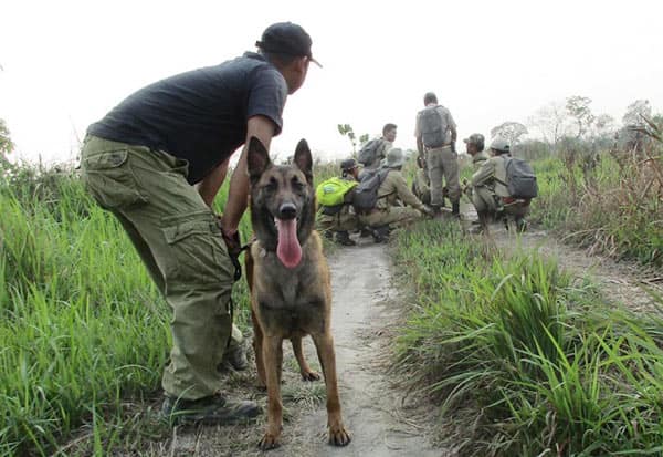 K9, dog squad, Assam, Kaziranga National Park