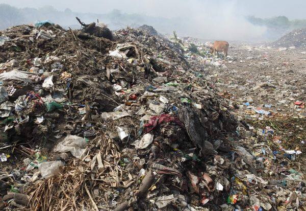 Project to clean Arani river bank!: Fund allocation for removal of mountain garbage, decision to destroy it by bio-mining method    ஆரணி ஆற்றங்கரையை சுத்தப்படுத்த திட்டம்!: மலை குப்பையை அகற்ற நிதி ஒதுக்கீடு  