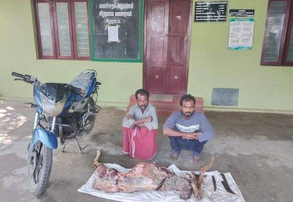 sale of venison; 2 arrested   மான் இறைச்சி விற்பனை; 2 பேர் கைது 
