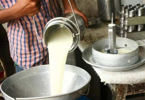 Strike from tomorrow as planned: Milk Producers Union   திட்டமிட்டப்படி நாளை முதல் போராட்டம்: பால் உற்பத்தியாளர் சங்கம்