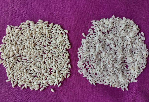 Distribution of enriched rice in ration: People confused about plastic rice   ரேஷனில் செறிவூட்டிய அரிசி விநியோகம் : பிளாஸ்டிக் அரிசி என்று குழப்பத்தில் மக்கள்