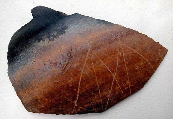 2000 year old pottery discovered near Villupuram   2000 ஆண்டுகள் பழமை வாய்ந்த பானை ஓடு விழுப்புரம் அருகே கண்டுபிடிப்பு