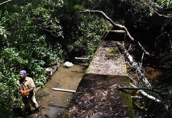 human waste dumped in the forest; Dam water damage near Ooty  வனத்தில் கொட்டப்பட்ட மனித கழிவு; ஊட்டி அருகே தடுப்பணை நீர் பாதிப்பு