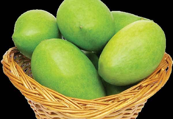 What is the best mango? People are confused; Traders are confused!  மக்கள் குழப்பம்; வியாபாரிகள் கலக்கம்! எது நல்ல மாம்பழம்? 