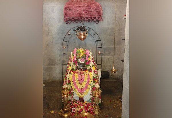 Mandalabishekam completed at Nellieswarar temple   நெல்லீஸ்வரர் கோவிலில் மண்டலாபிஷேகம் நிறைவு