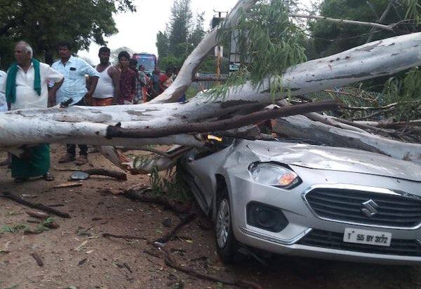 Tornado rain: 2 cars damaged by downed tree   சூறாவளியுடன் மழை: மரம்  சாய்ந்ததில் 2 கார்கள் சேதம்