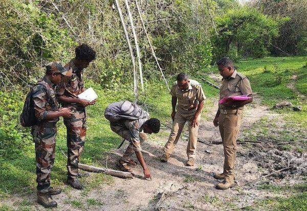 Wildlife Census 130 staff participated   வன விலங்கு கணக்கெடுப்பு  130 ஊழியர்கள் பங்கேற்பு