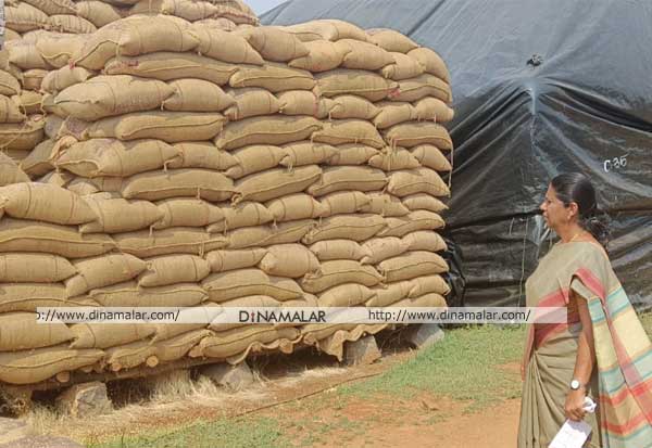 Audit of 7,000 tons of paddy bags in Mayam Rice Mills  7,000 டன் நெல் மூட்டைகள் மாயமா?: கலெக்டர் மறுப்பு