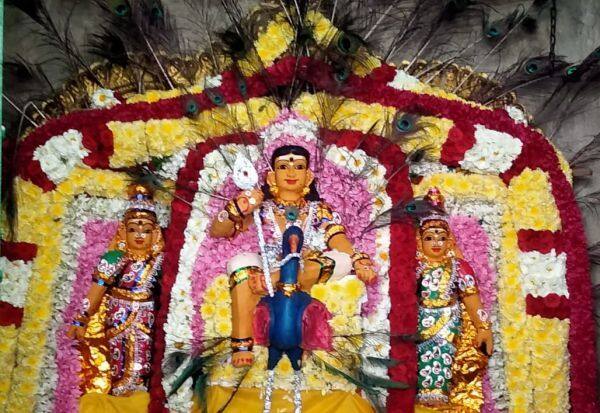 Today is Subramanya Swami Vaikasi Visakha Festival   இன்று சுப்பிரமணிய சுவாமி வைகாசி விசாக பெருவிழா
