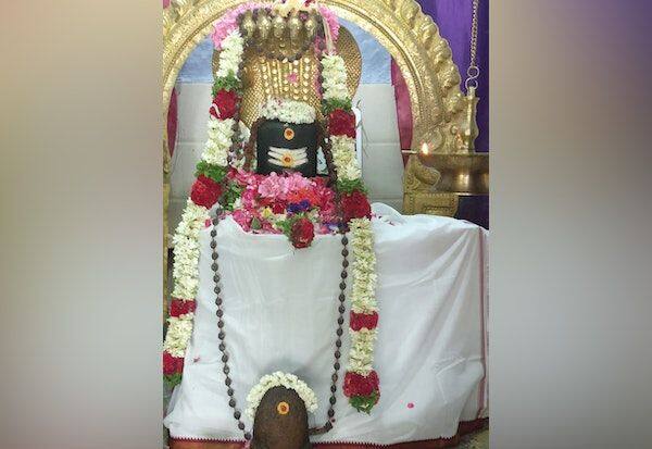 Vimana Balalaya Pooja at Bodi Paramasivan Temple   போடி பரமசிவன் கோயிலில்  விமான பாலாலய பூஜை