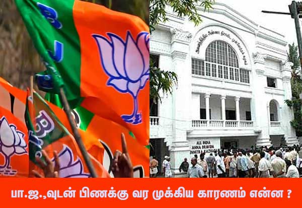  No alliance with BJP, ADMK: Jayakumar sudden announcement  பா.ஜ.,வுடன் அ.தி.மு.க., கூட்டணி இல்லை: ஜெயக்குமார் திடீர் அறிவிப்பு