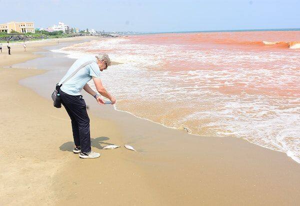 Puducherry sea turned red shock tourists | செந்நிறமாக மாறிய புதுச்சேரி கடல்  | Dinamalar