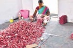 பட்டாசு தொழில் பாதுகாப்பு ஆய்வு செய்ய 11 பேர் குழு: நியமித்தது மத்திய அரசு