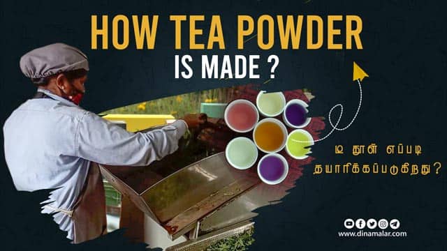 HOW IS TEA POWDER MADE ? | டீ தூள் எப்படி தயாரிக்கப்படுகிறது ?