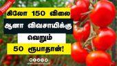 தக்காளி பயிரிடுவோர் தத்தளிக்கும் கதை | Tomato Price | Farmers Situation | Brokers Cutting | Tomato Cultivation | Dinamalar