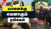 கண்காணிப்பு கோபுரம்தான் தீர்வு | Elephant Train Accident | Kovai | Dinamalar |