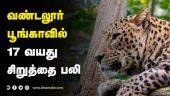 வண்டலூர்  பூங்காவில் 17 வயது  சிறுத்தை பலி | leopard named Jaya dies at Vandalur Zoo