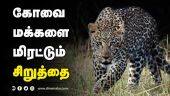 ஊருக்குள் வர காரணம் இதுதான் | Wild prowling inside city a dangerous trend!! | Kovai Leopard