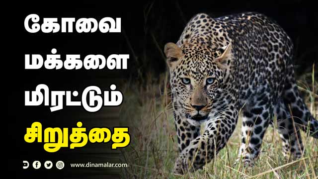 роКро░рпБроХрпНроХрпБро│рпН ро╡ро░ роХро╛ро░рогроорпН роЗродрпБродро╛ройрпН | Wild prowling inside city a dangerous trend!! | Kovai Leopard