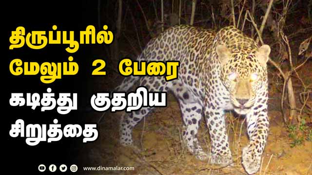 родро┐ро░рпБрокрпНрокрпВро░ро┐ро▓рпН роорпЗро▓рпБроорпН 2 рокрпЗро░рпИ роХроЯро┐родрпНродрпБ роХрпБродро▒ро┐роп роЪро┐ро▒рпБродрпНродрпИ | Leopard | Attack | Tiruppur
