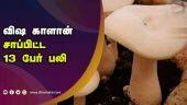 அசாமில் தொடரும் பரிதாபம் | Poison Mushroom | Mushroom | Assam