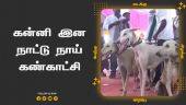 கன்னி இன நாட்டு நாய்  கண்காட்சி | Dog Expo | Madurai | Dinamalar