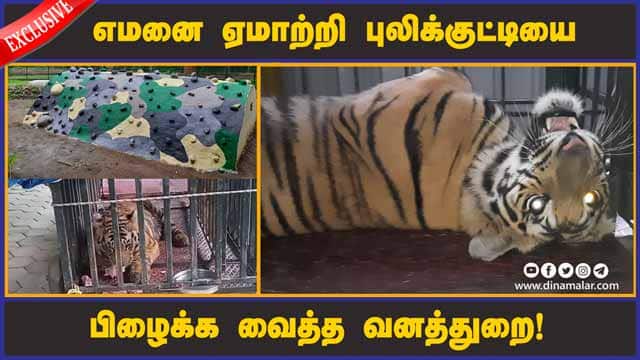 роОрооройрпИ роПрооро╛ро▒рпНро▒ро┐ рокрпБро▓ро┐роХрпНроХрпБроЯрпНроЯро┐ропрпИ  рокро┐ро┤рпИроХрпНроХ ро╡рпИродрпНрод ро╡ройродрпНродрпБро▒рпИ! | Forest department rescues tiger cub from the jaws of death