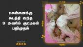 சென்னைக்கு  கடத்தி வந்த  9 அணில் குட்டிகள்  பறிமுதல் | 9 squirrel cubs | Chennai Airport | Dinamalar