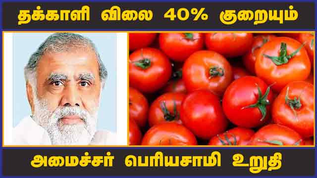 தக்காளி விலை 40% குறையும்  அமைச்சர் பெரியசாமி உறுதி  | Tomato | I Periyasamy | Dinamalar