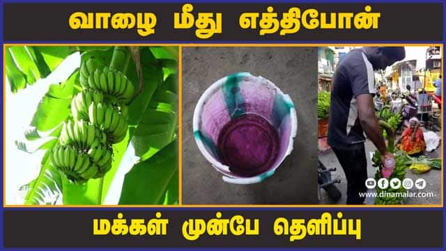 வாழை மீது எத்திபோன் மக்கள் முன்பே தெளிப்பு | Chemical  Banana  | Puducherry | Dinamalar