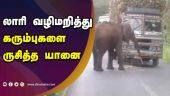 லாரி வழிமறித்து கரும்புகளை ருசித்த யானை | Elephant | Sugarcane | Sathyamangalam Forest  Dinamalar