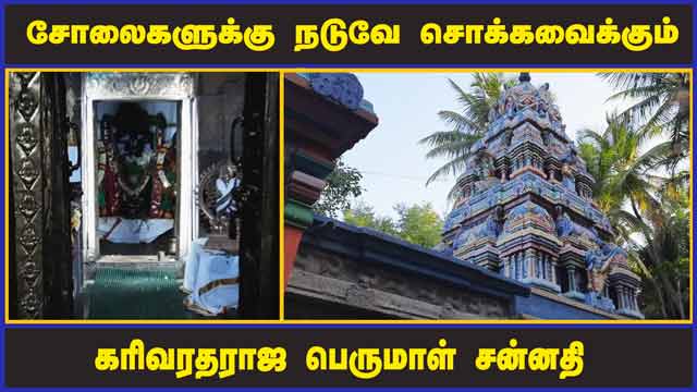 சோலைகளுக்கு நடுவே சொக்கவைக்கும் கரிவரதராஜ பெருமாள் சன்னதி | Karivaradharaja Perumal | Chola's Temple
