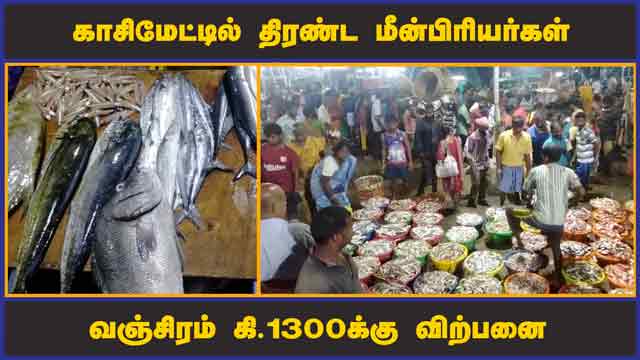 காசிமேட்டில் திரண்ட  மீன்பிரியர்கள்  வஞ்சிரம்  கி. 1300க்கு விற்பனை  | Chennai Fish Rate | vanjiram | Dinamalar