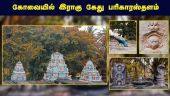 பாம்புகளை மயில்கள் தொந்தரவு செய்யாத கோயில் | Kovai Thirunageshwaram Temple | Dinamalar