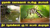 ஏடிஎஸ் கொசுவால் டெங்கு அபாயம்  நீர் தேங்கினால் ரூ.10 லட்சம் அபராதம்  | Dengue | ATSmosquito |  Waterlogging