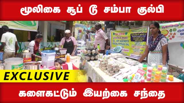 மூலிகை சூப் டூ சம்பா குல்பி களைகட்டும் இயற்கை சந்தை | Natural Market | Herbal | Chennai
