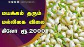 மயக்கம் தரும் மல்லிகை விலை  கிலோ ரூ.2000  | Jasmine Rate | flower market | Madurai