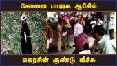 கோவை பாஜக ஆபீசில்  கெரசின் குண்டு வீச்சு | Kerosene bombs hurled on BJP office | Coimbatore