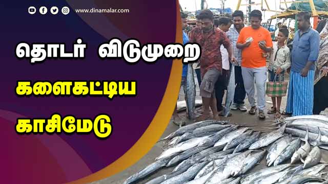தொடர் விடுமுறை  களைகட்டிய  காசிமேடு | fish market | kasimedu | Chennai