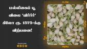 மல்லிகைப் பூ  விலை 'விர்ர்ர்' கிலோ ரூ. 1575-க்கு  விற்பனை!