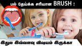 பல் தேய்க்க  சரியான BRUSH !  இதுல இவ்வளவு  விஷயம் இருக்கா | ToothBrush | Brush | Teeth Precaution