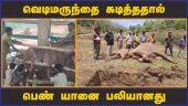 உடற்கூறு ஆய்வில் அதிர்ச்சி தகவல் | Female Elephant Death | Kovai | Dinamalar