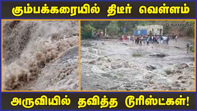 பத்திரமாக மீட்டது வனத்துறை | Kumbakarai Falls Flood | Theni | Dinamalar