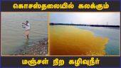 வாழ்வாதாரம் பாதிக்கும் என மீனவர்கள் அச்சம் | Kosasthalaiyar River | Chennai | Dinamalar