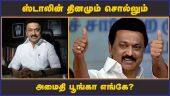ஸ்டாலின் தினமும் சொல்லும் அமைதி பூங்கா எங்கே?  | Tamilnadu | Stalin | DMK