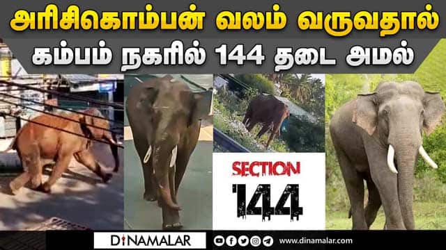 யானையை விரட்ட கும்கி வரவழைக்க திட்டம்! | Arikomban | Kerala's elephant | Kumki Elephant