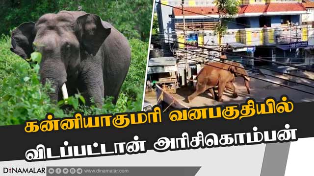 கேரளாவுக்கு திரும்புவானா அரிகொம்பன் | No more whishpers from Arikomban | elephant | kerala