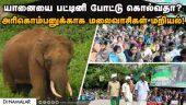 30 மணி நேரம் யானைக்கு சாப்பாடு தண்ணீர் கொடுக்காததால் ஏழைகள் கோபம் | Tribals protest for elephant