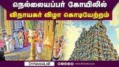 ஜூலை 2ம் தேதி ஆனி திருவிழா தேரோட்டம் |  Nellaiyappar temple festival | Tirunelveli